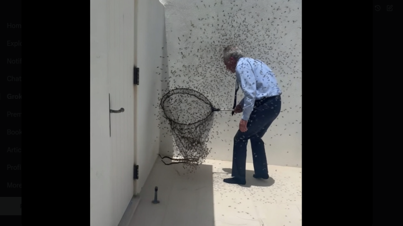 Google Releases Bioengineered Mosquitoes to Fight Disease—RFK Jr. Immediately Wrangles Them Off Dr. Oz’s Porch in Epic Showdown Barehanded Bobby wrangles Silicon Valley’s ‘woke’ mosquitoes in Dr. Oz’s backyard.